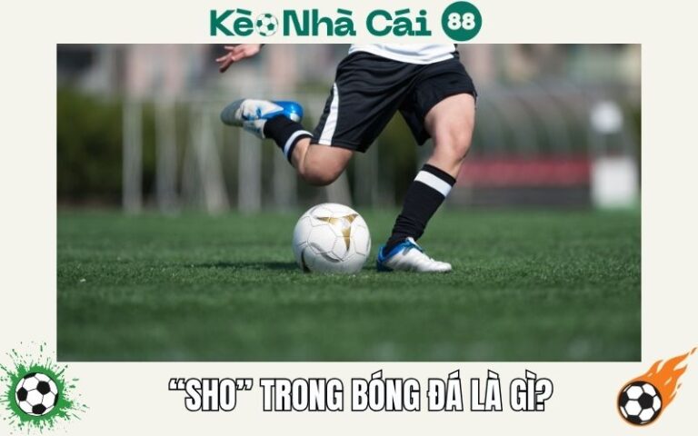 SHO Trong Bóng Đá Là Gì? Giải Thích Chỉ Số Sút Bóng Chuẩn 62 SHO Trong Bóng Đá Là Gì? Giải Thích Chỉ Số Sút Bóng Chuẩn